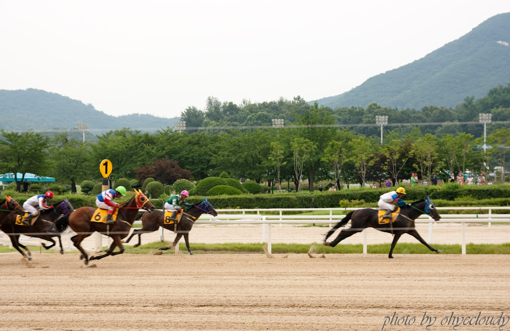 서울 경마 공원 나들이 후기 - 저렴하고 재미있게 놀 수 있었다